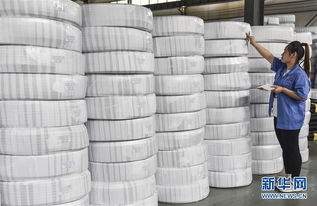 河北景縣 推動傳統橡塑產業發展